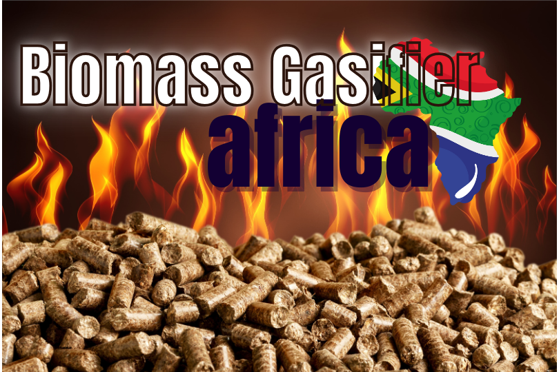 biomass gasifier Africa