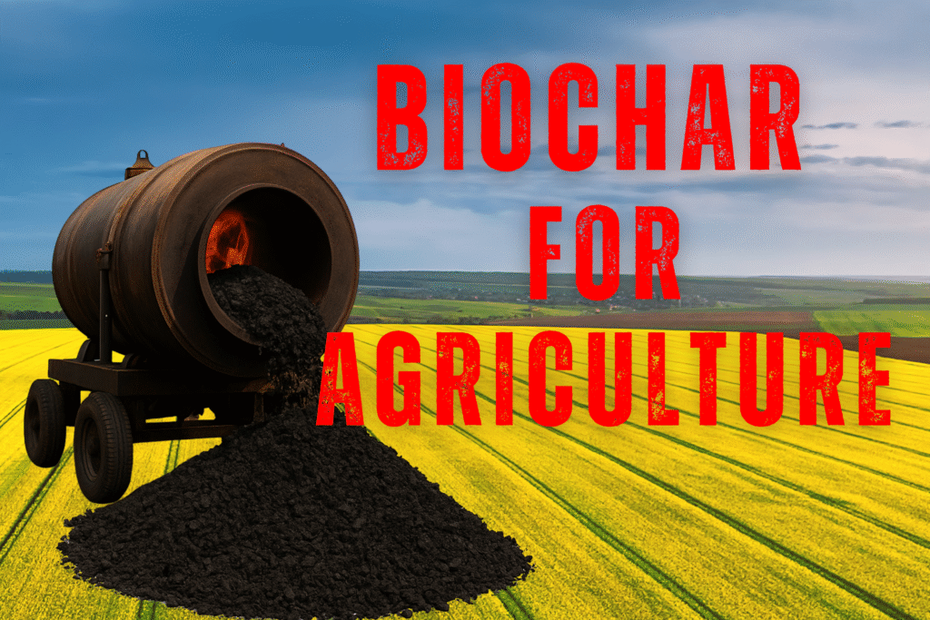 Biochar for agriculture